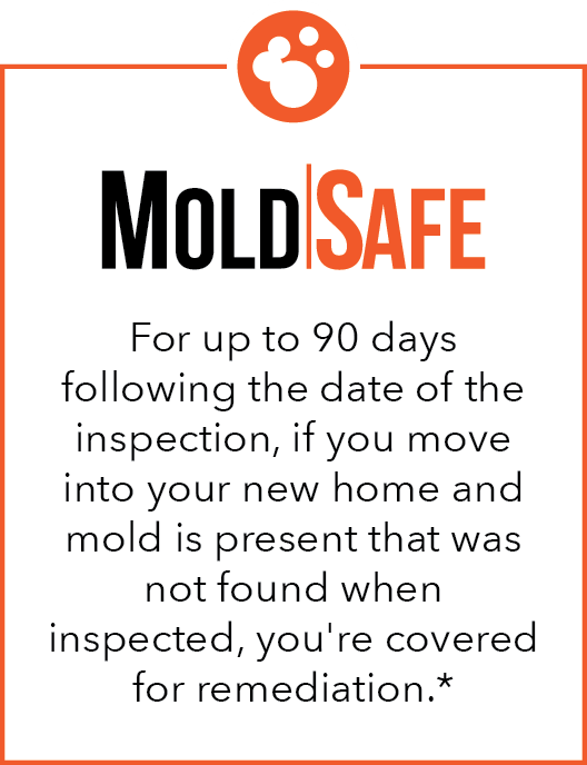 Mold Safe